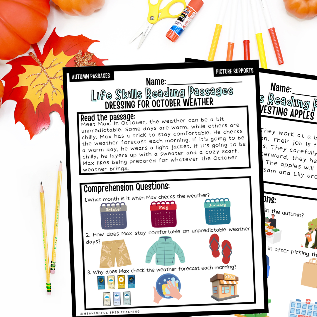 Autumn/Fall Life Skills Picture Supported Reading Comprehension Passages NO PREP