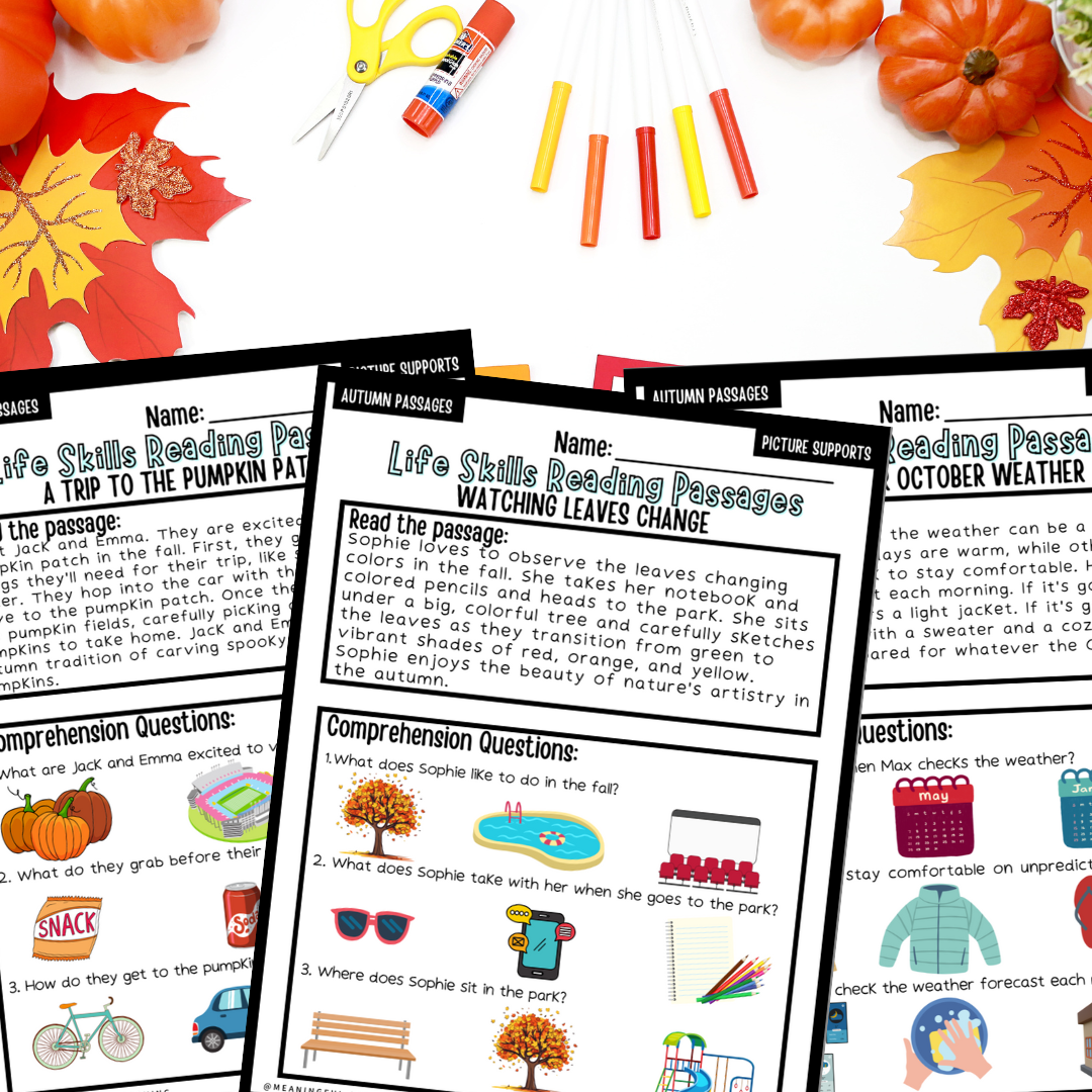 Autumn/Fall Life Skills Picture Supported Reading Comprehension Passages NO PREP