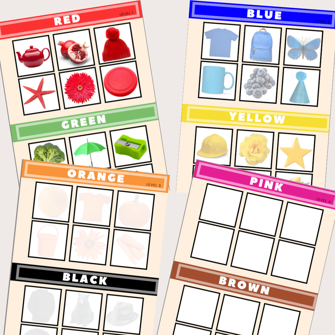 Color Identification Sort By Color File Folder Mats for Special Education