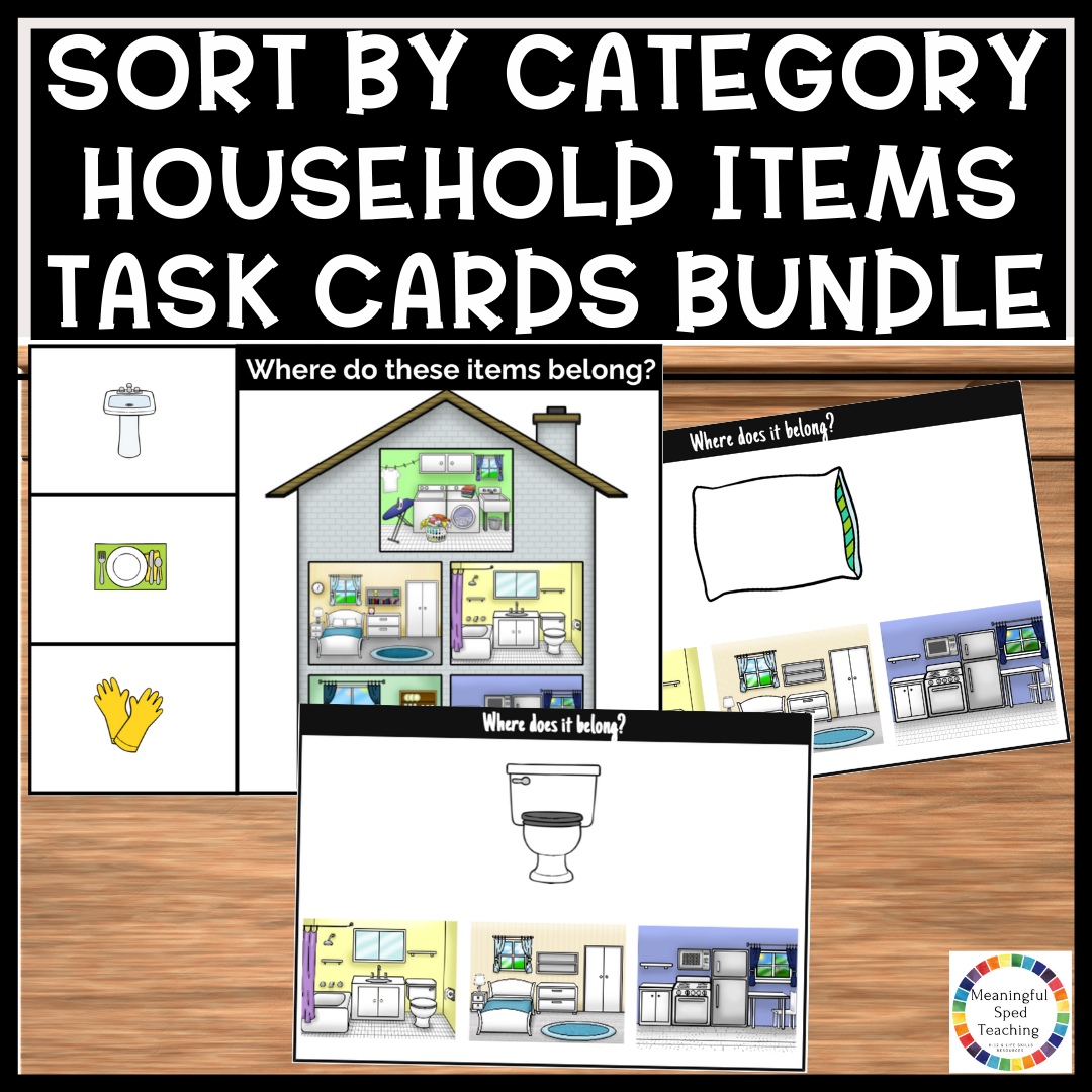 Sort by Category Common Household Items Task Cards Life Skills