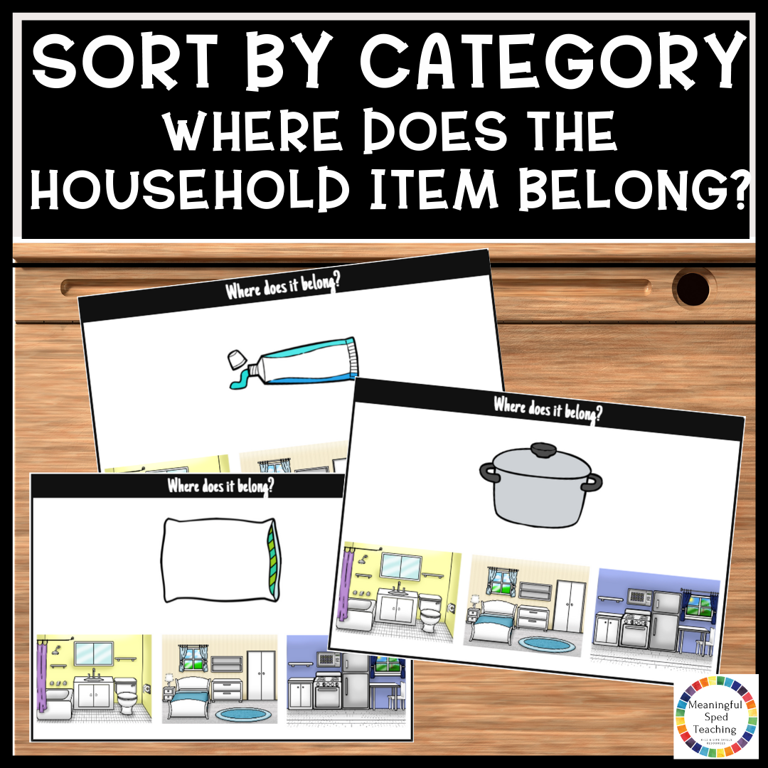 Life Skills Sort By Category Common Household Items Task Cards