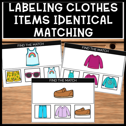 Life Skills Identical Matching Clothing Items Special Education